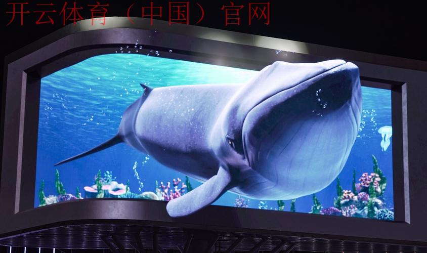 开云体育appkaiyunsport，24小时畅游体育资讯海洋