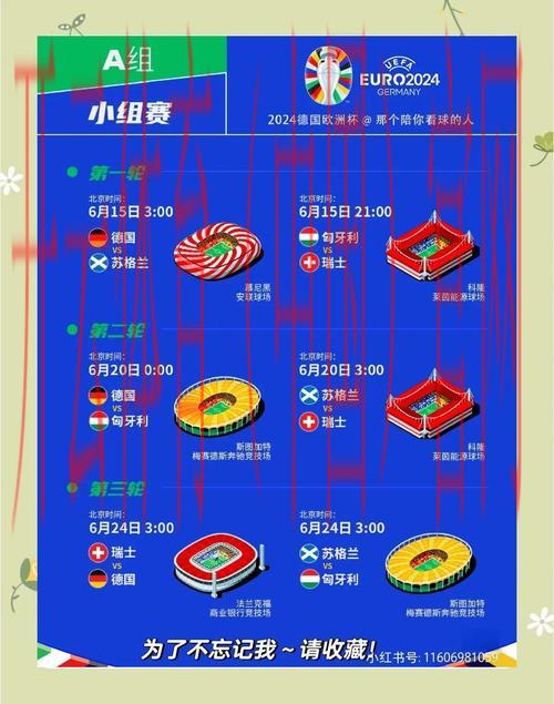 开云体育官方网站网址，塞纳河畔的欧洲杯赛事回顾