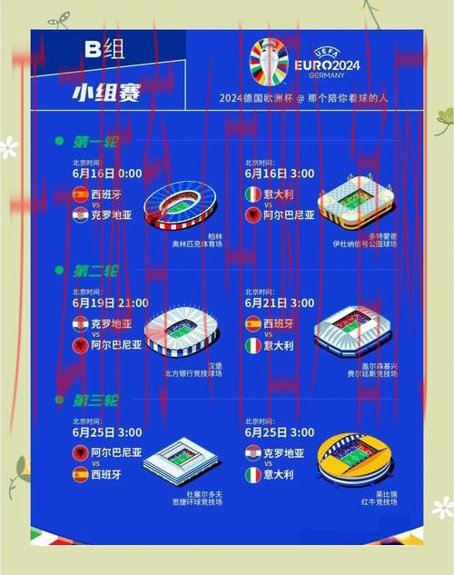 开云体育官方网站网址，塞纳河畔的欧洲杯赛事回顾